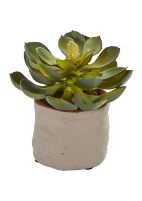 Set of 4 Mixed Succulent Artificial Plants