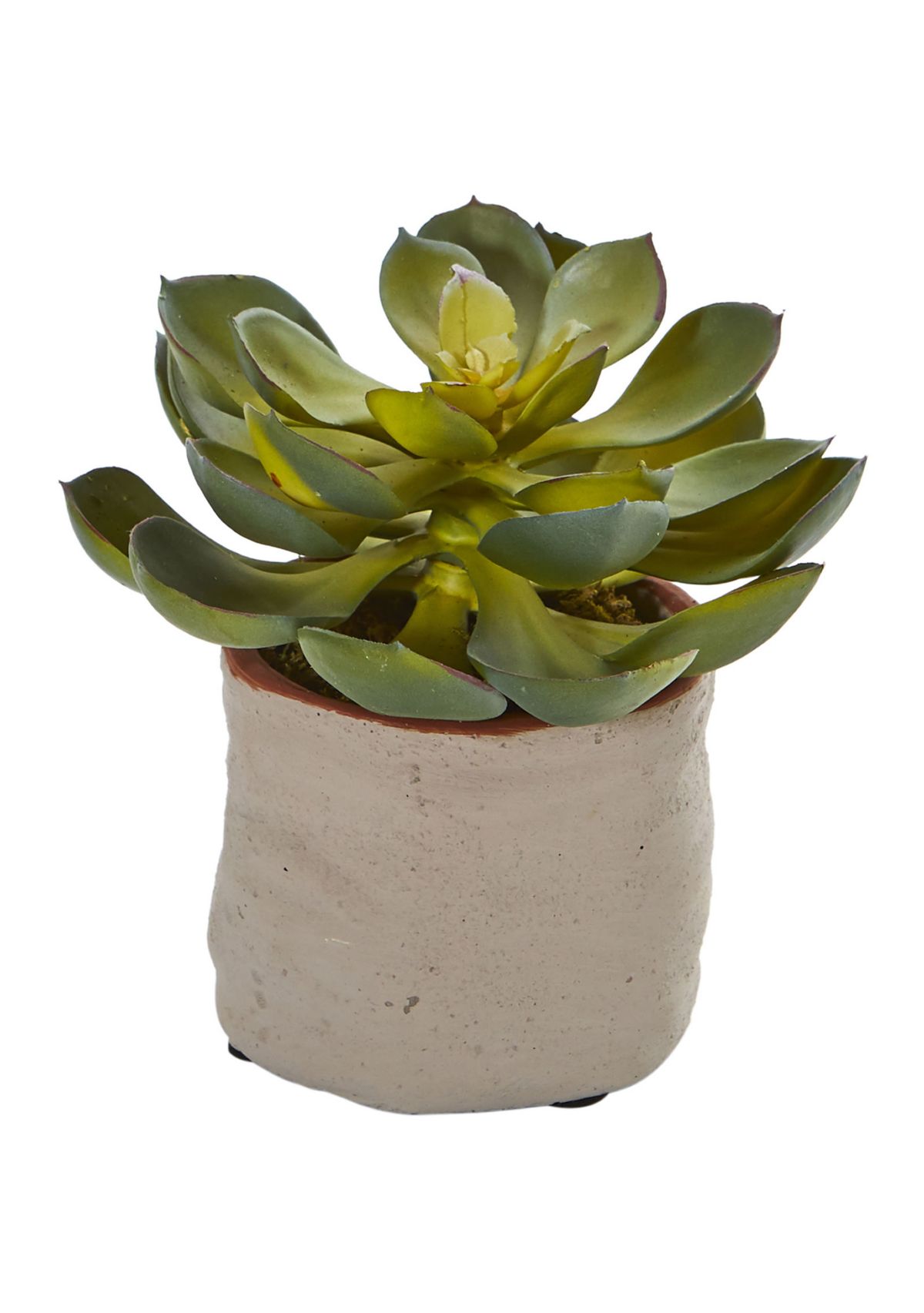 Set of 4 Mixed Succulent Artificial Plants