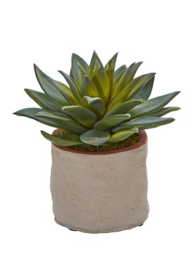 Set of 4 Mixed Succulent Artificial Plants