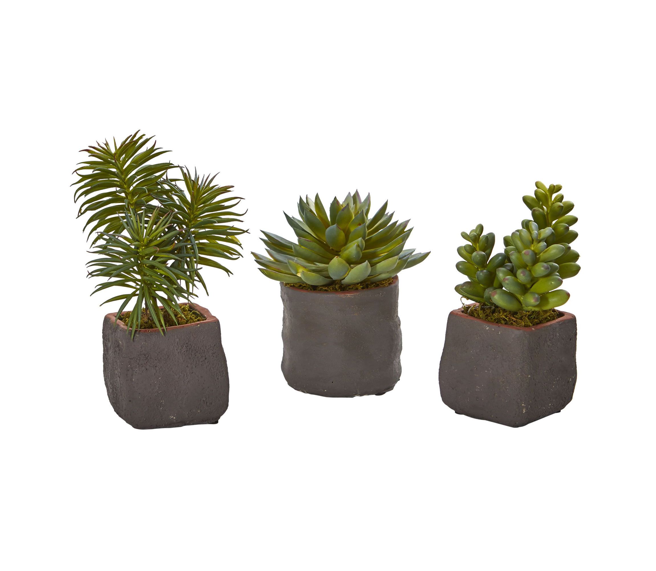 Mixed Succulent Trio Artificial Plant (Set of 3)