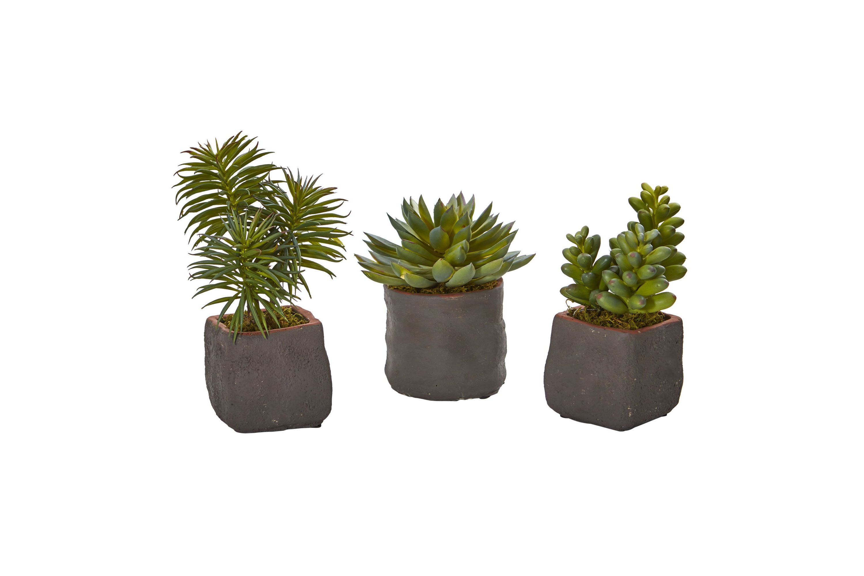 Mixed Succulent Trio Artificial Plant (Set of 3)
