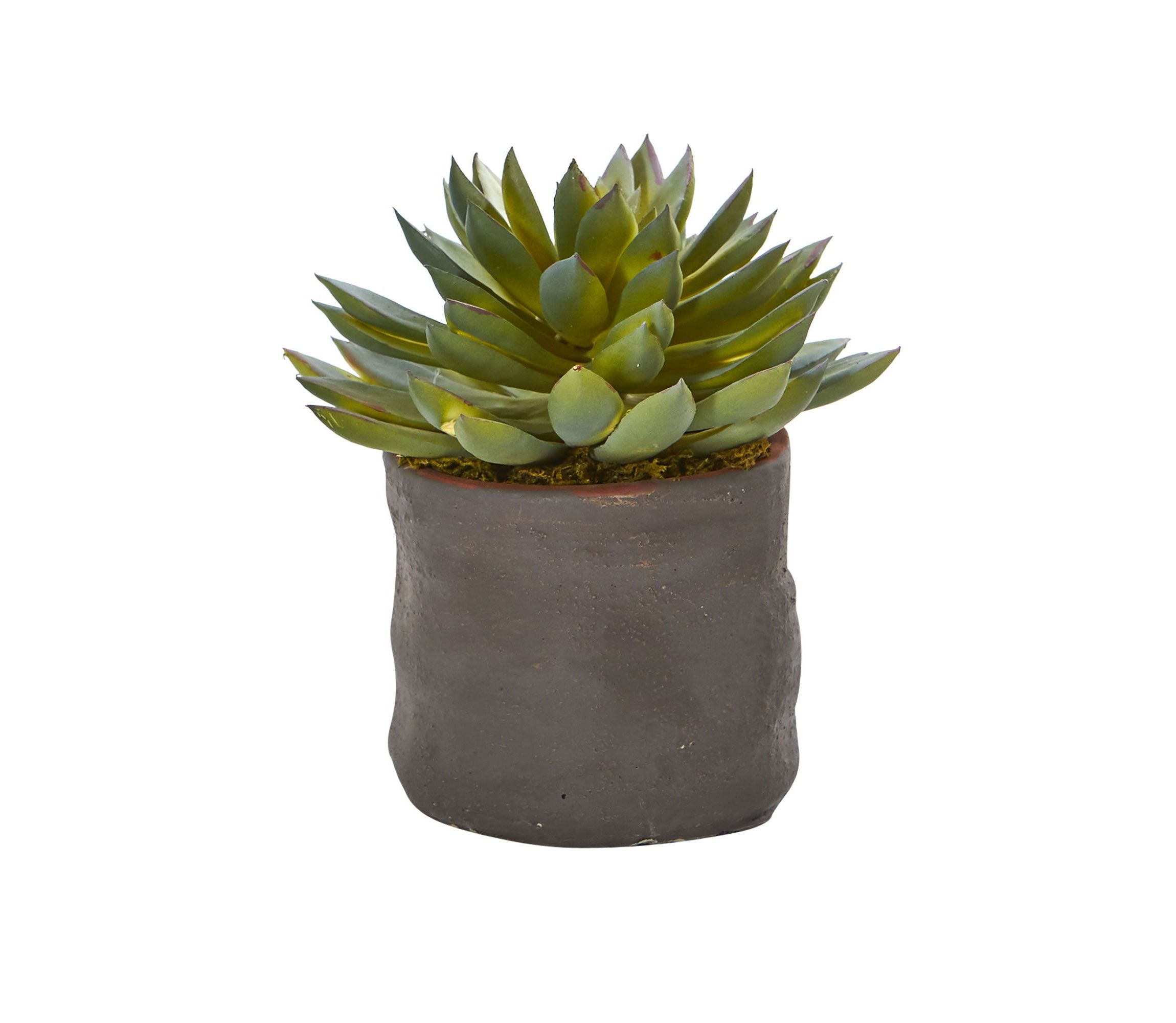 Mixed Succulent Trio Artificial Plant (Set of 3)