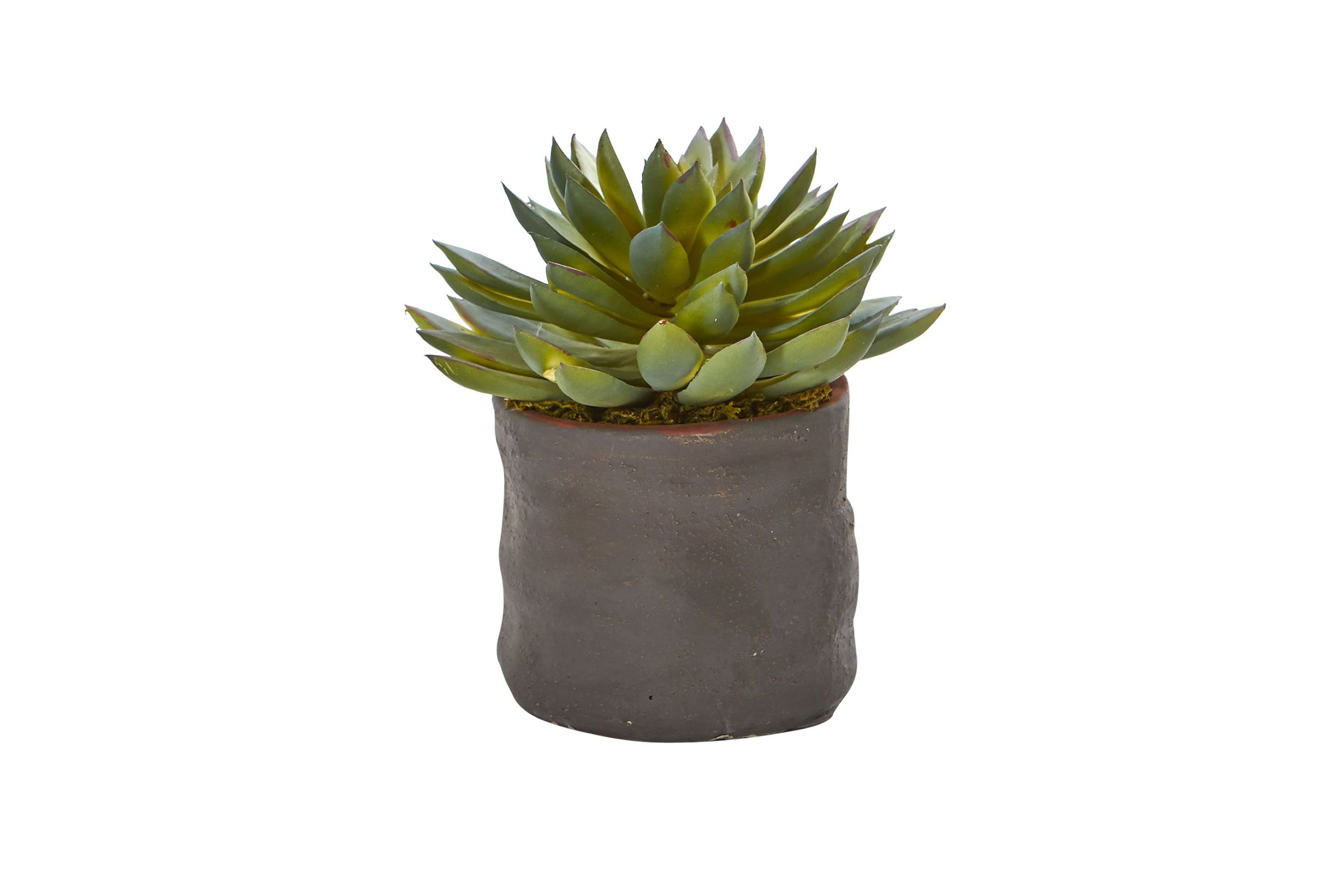 Mixed Succulent Trio Artificial Plant (Set of 3)
