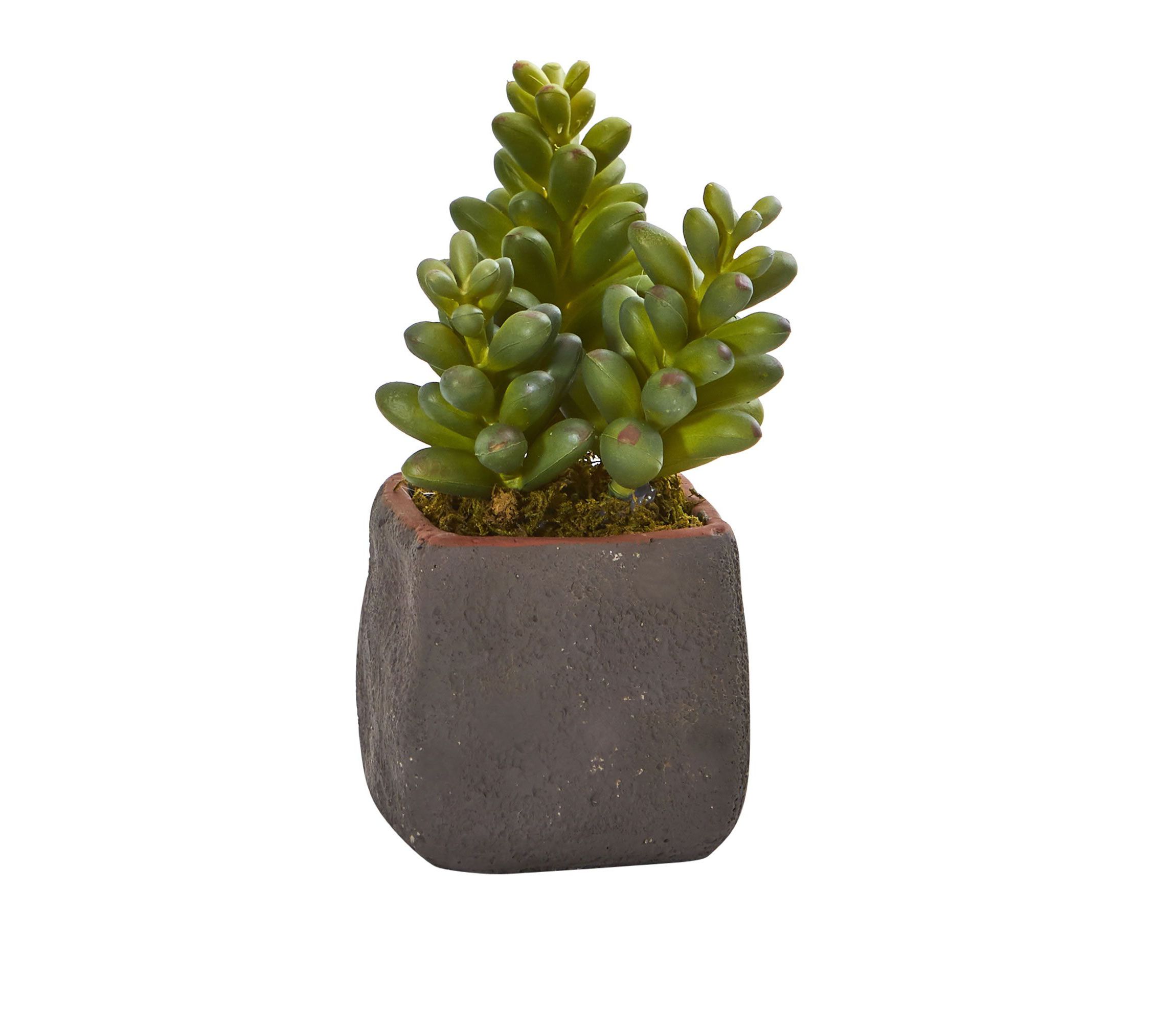 Mixed Succulent Trio Artificial Plant (Set of 3)
