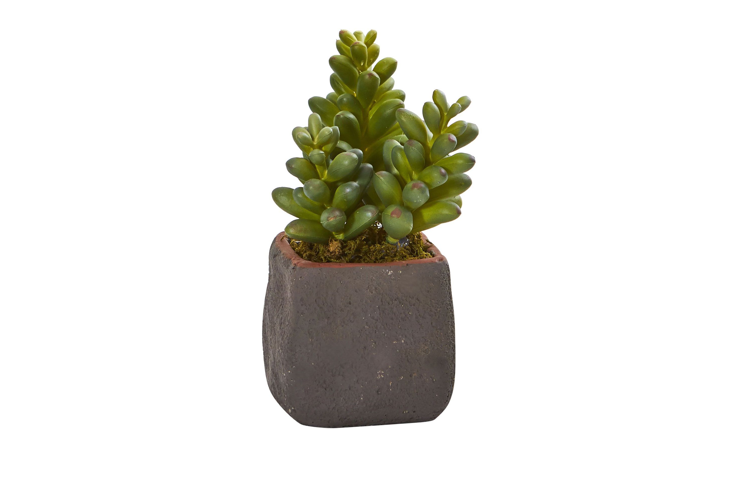 Mixed Succulent Trio Artificial Plant (Set of 3)
