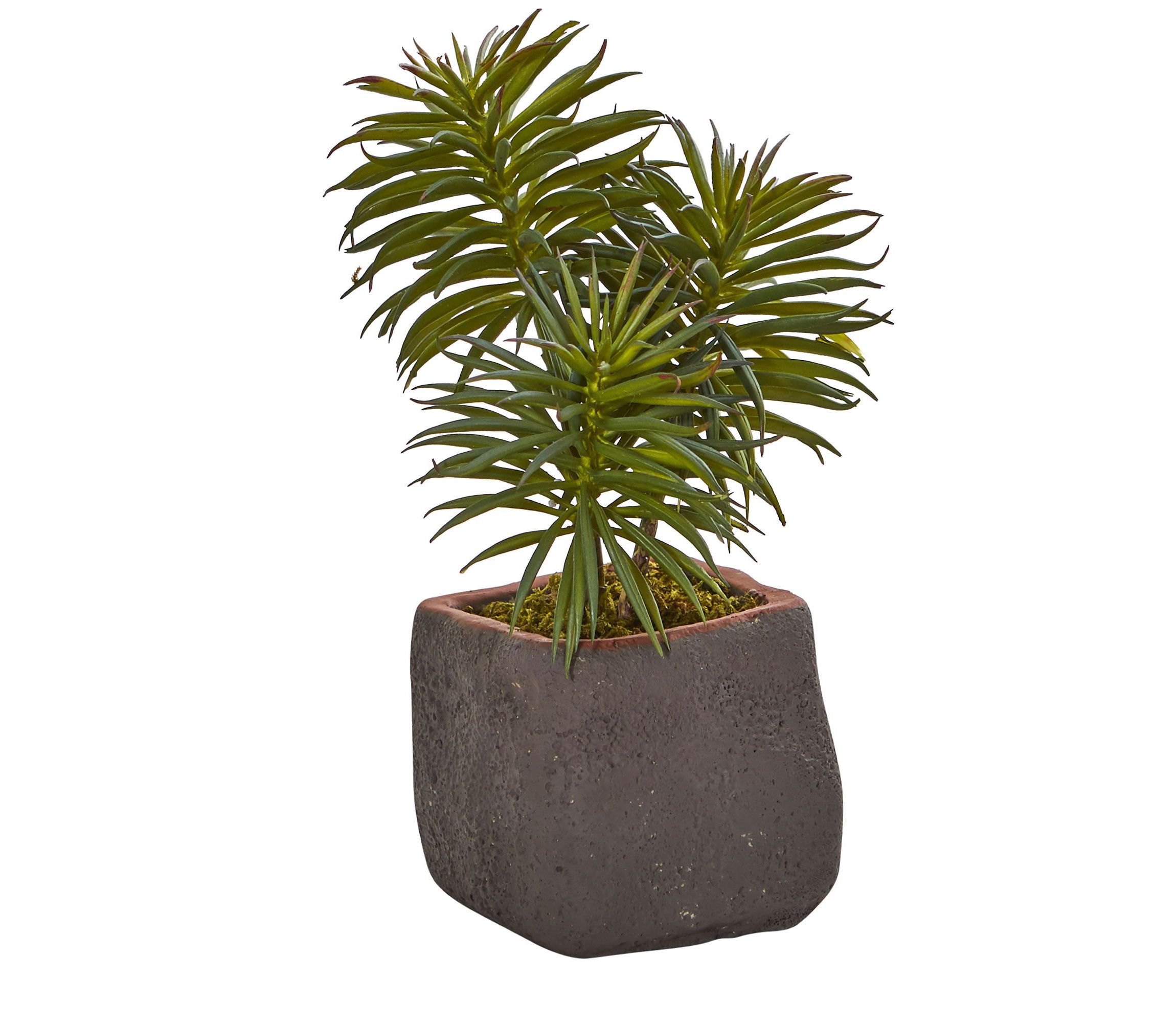 Mixed Succulent Trio Artificial Plant (Set of 3)
