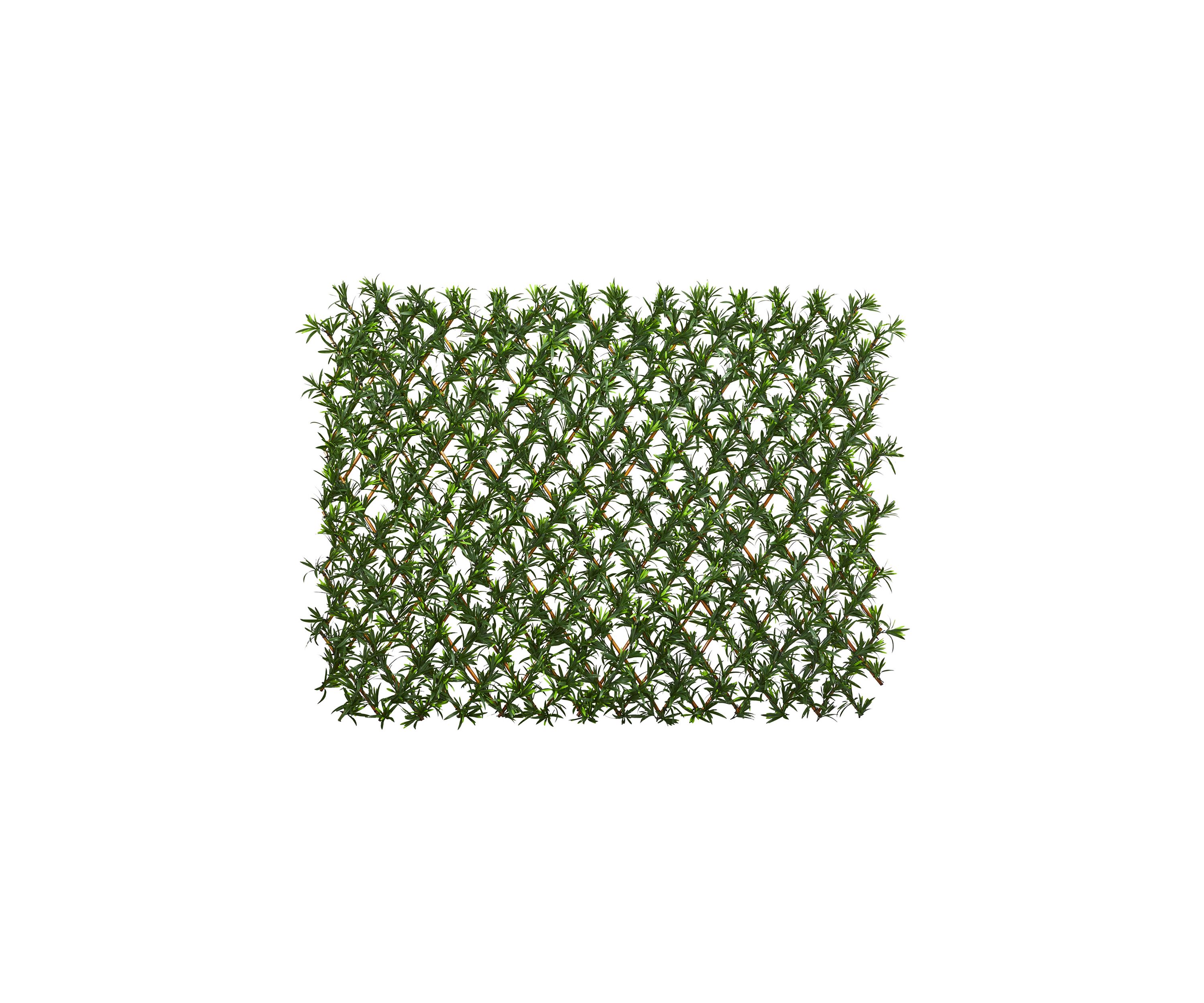 Expandable Podocarpus Fence  and Waterproof