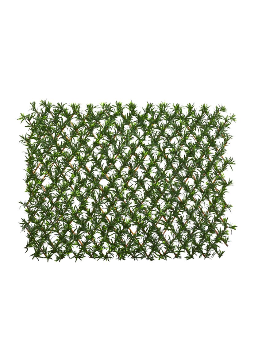 Expandable Podocarpus Fence  and Waterproof