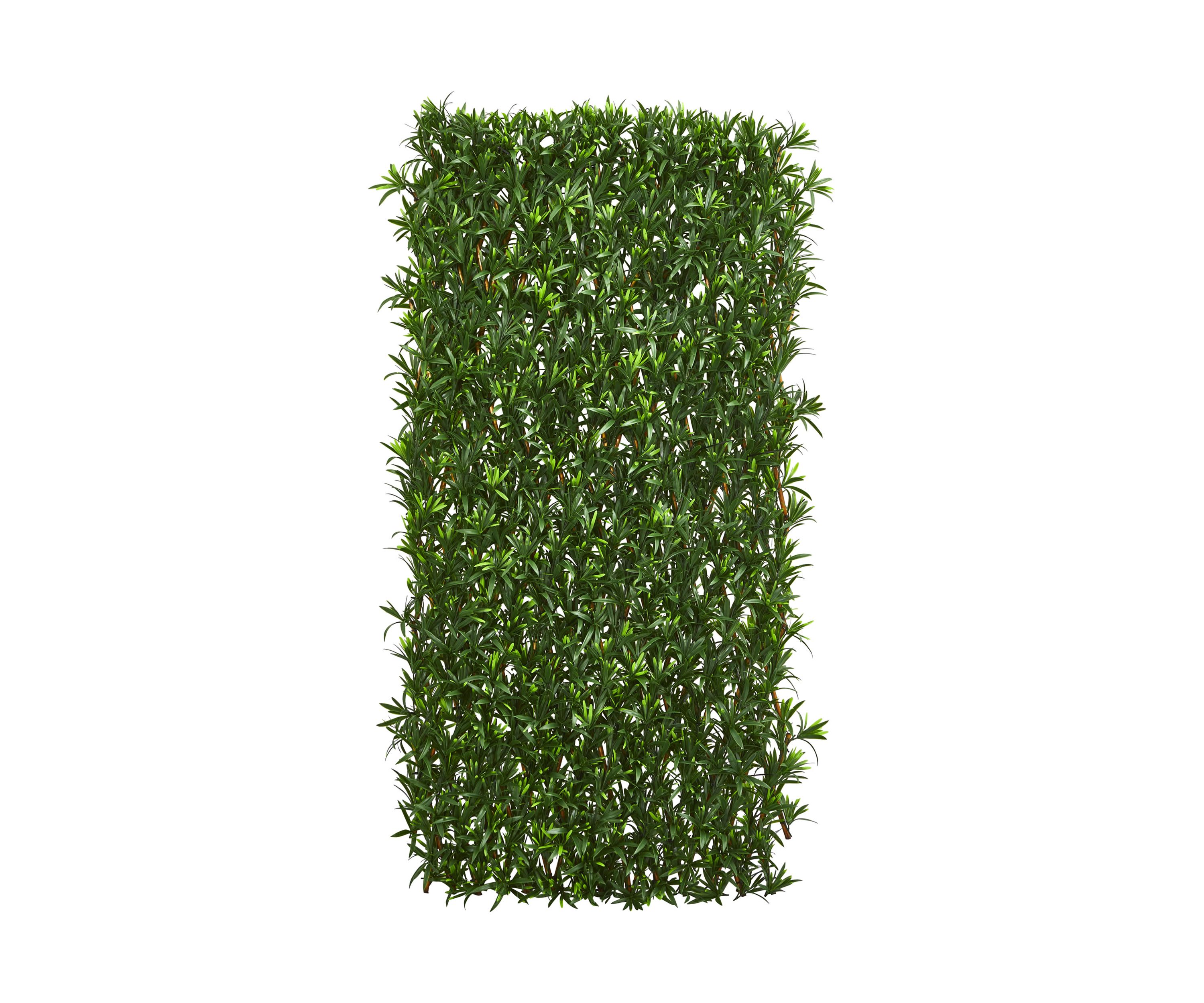 Expandable Podocarpus Fence  and Waterproof