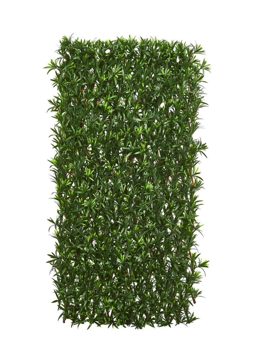 Expandable Podocarpus Fence  and Waterproof