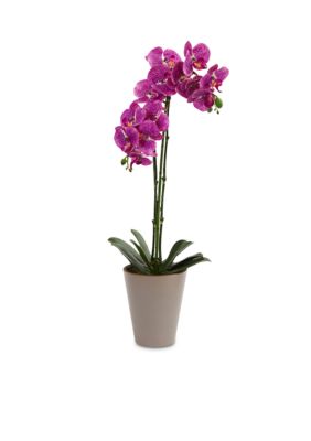 Speckled Phalaenopsis Orchid Artificial Arrangement