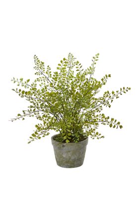 Maiden Hair Artificial Plant in Decorative Planter