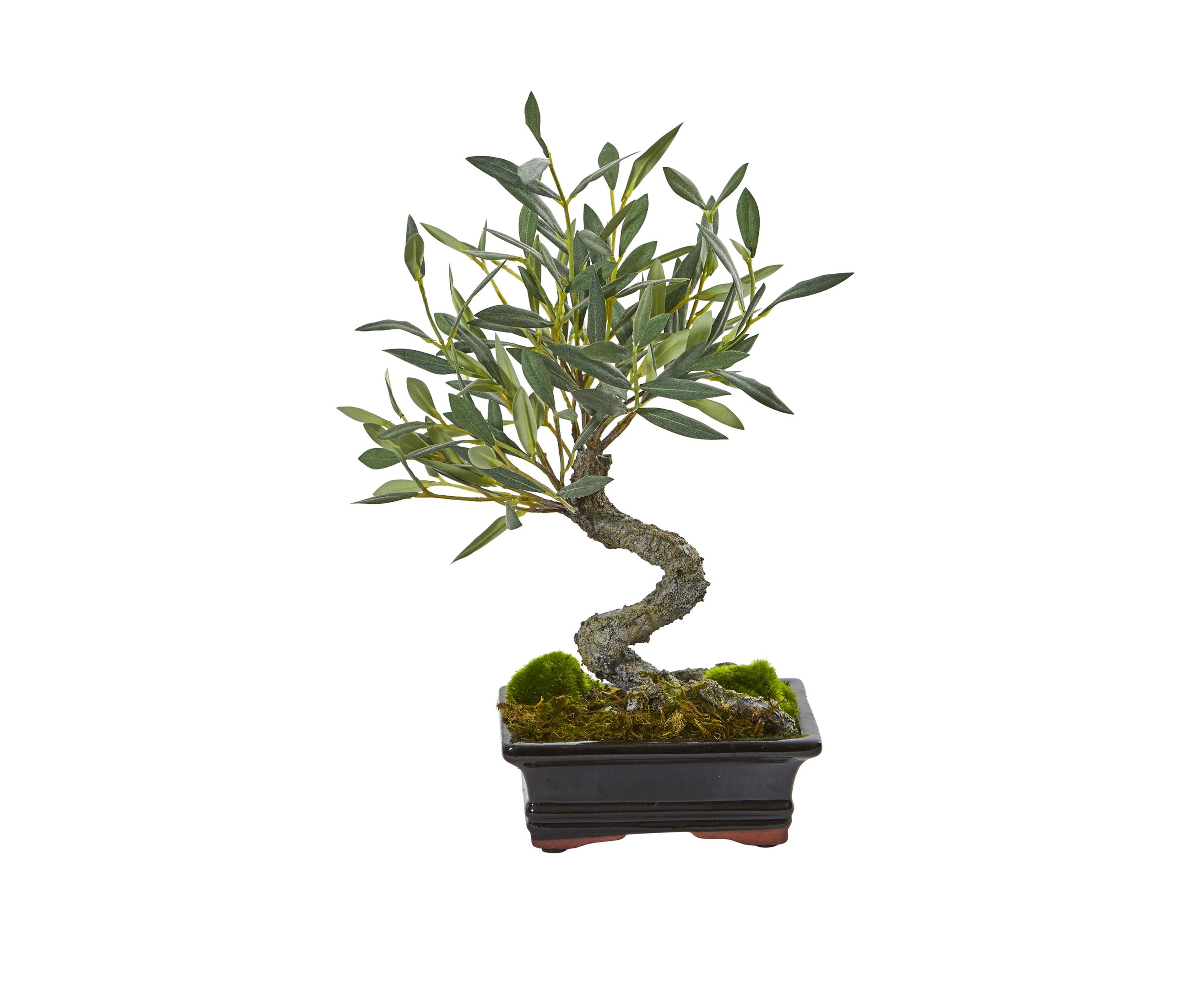 Mini Olive Artificial Bonsai Tree