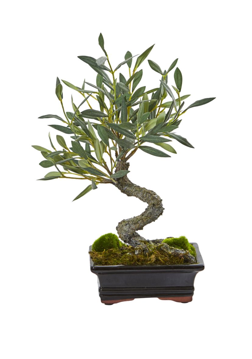 Mini Olive Artificial Bonsai Tree
