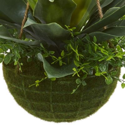 Agave and Maiden Hair Artificial Plant in Hanging Basket (Indoor/Outdoor)