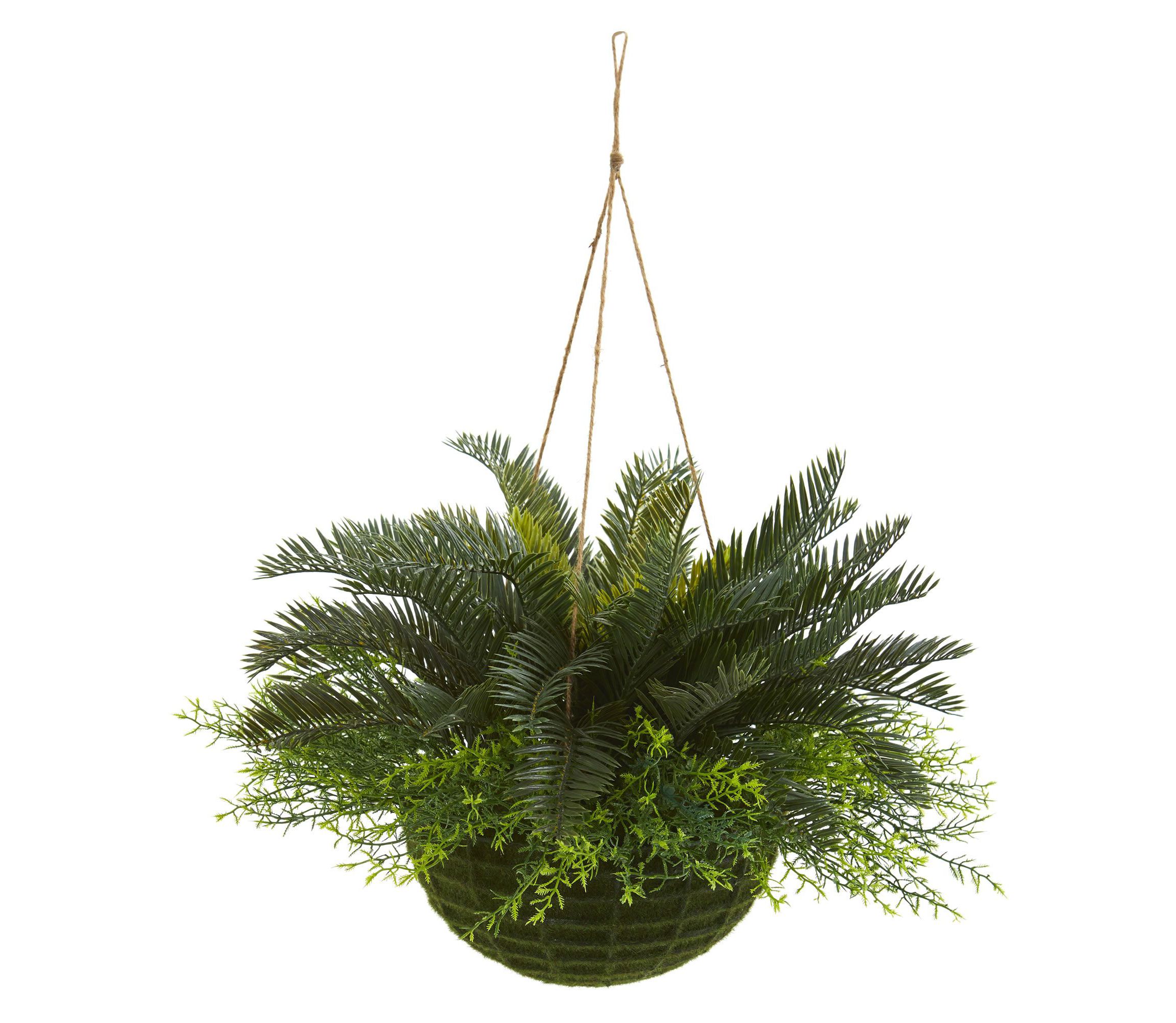 Cycas Artificial Plant in Mossy Hanging Basket (Indoor/Outdoor)
