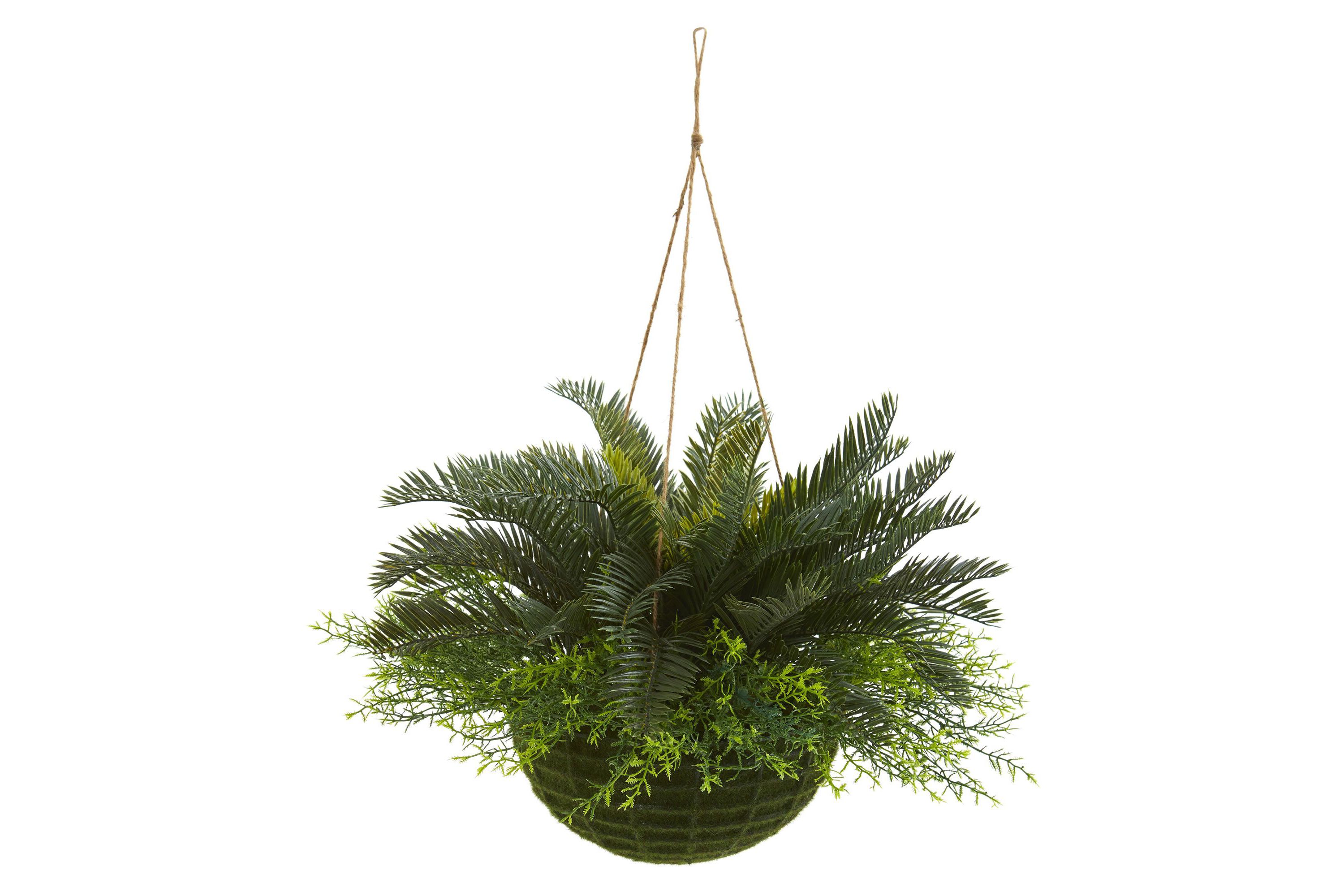 Cycas Artificial Plant in Mossy Hanging Basket (Indoor/Outdoor)