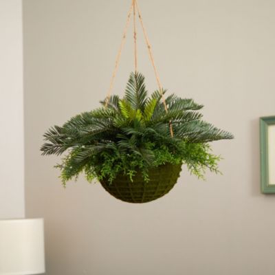 Cycas Artificial Plant in Mossy Hanging Basket (Indoor/Outdoor)