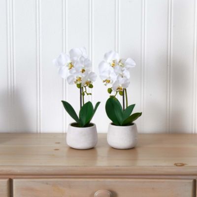 Phalaenopsis Orchid Artificial Arrangement (Set of 2)