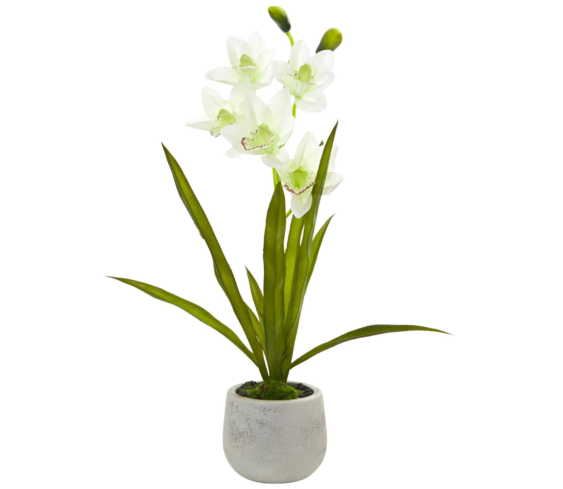 Cymbidium Orchid Artificial Arrangement in Vase