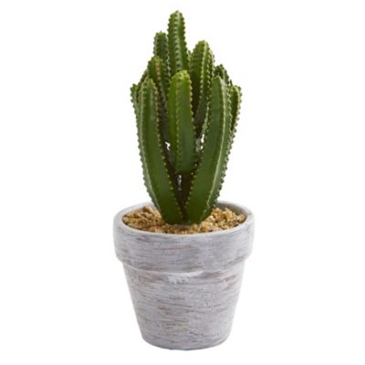 8-Inch Cactus Artificial Plant (Set of 3)