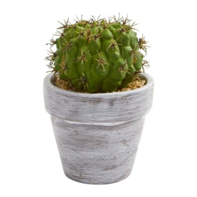 8-Inch Cactus Artificial Plant (Set of 3)