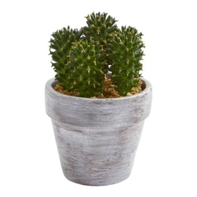 8-Inch Cactus Artificial Plant (Set of 3)