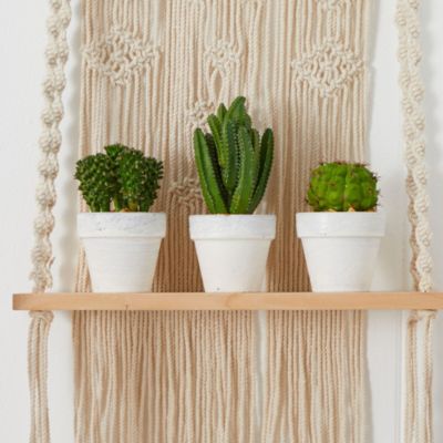 8-Inch Cactus Artificial Plant (Set of 3)