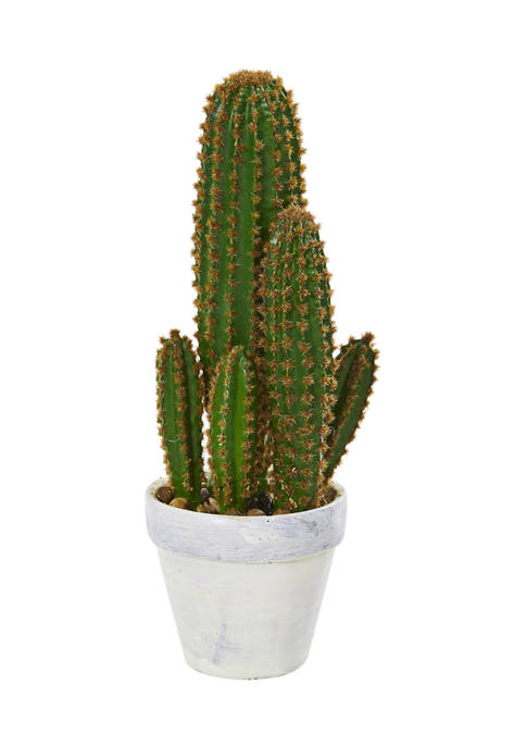 Nearly Natural Cactus Succulent Plant