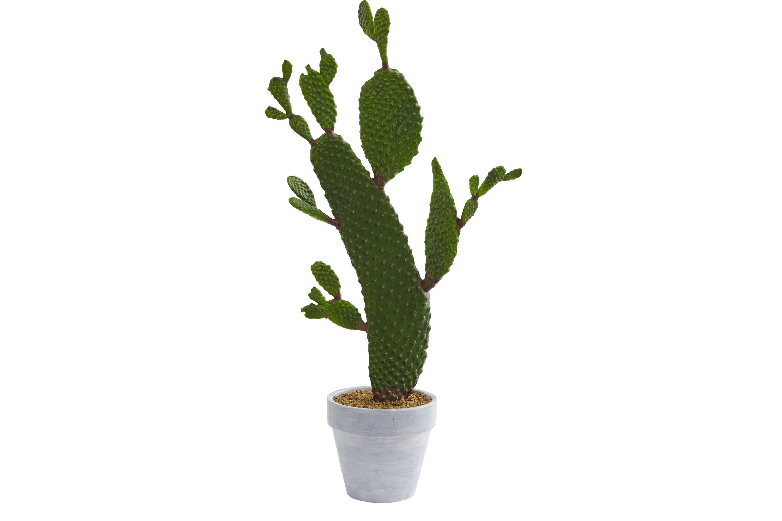 27-Inch Cactus Artificial Plant
