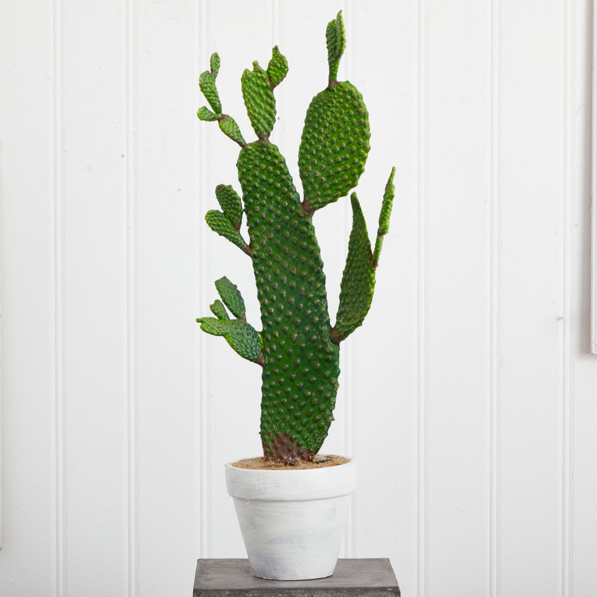 27-Inch Cactus Artificial Plant