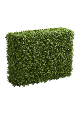 Boxwood Hedge Indoor/Outdoor