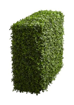 Boxwood Hedge Indoor/Outdoor