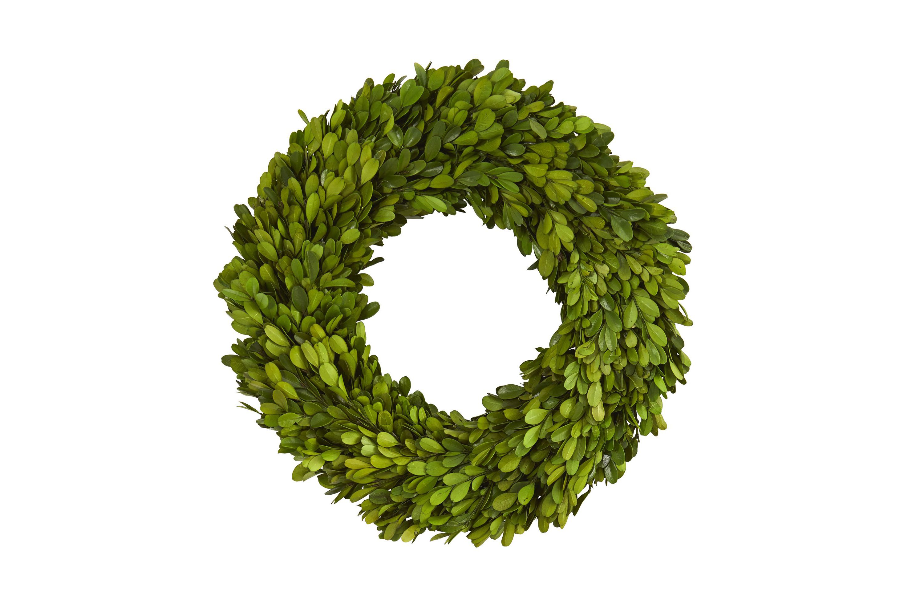 14-Inch Preserved Boxwood Wreath