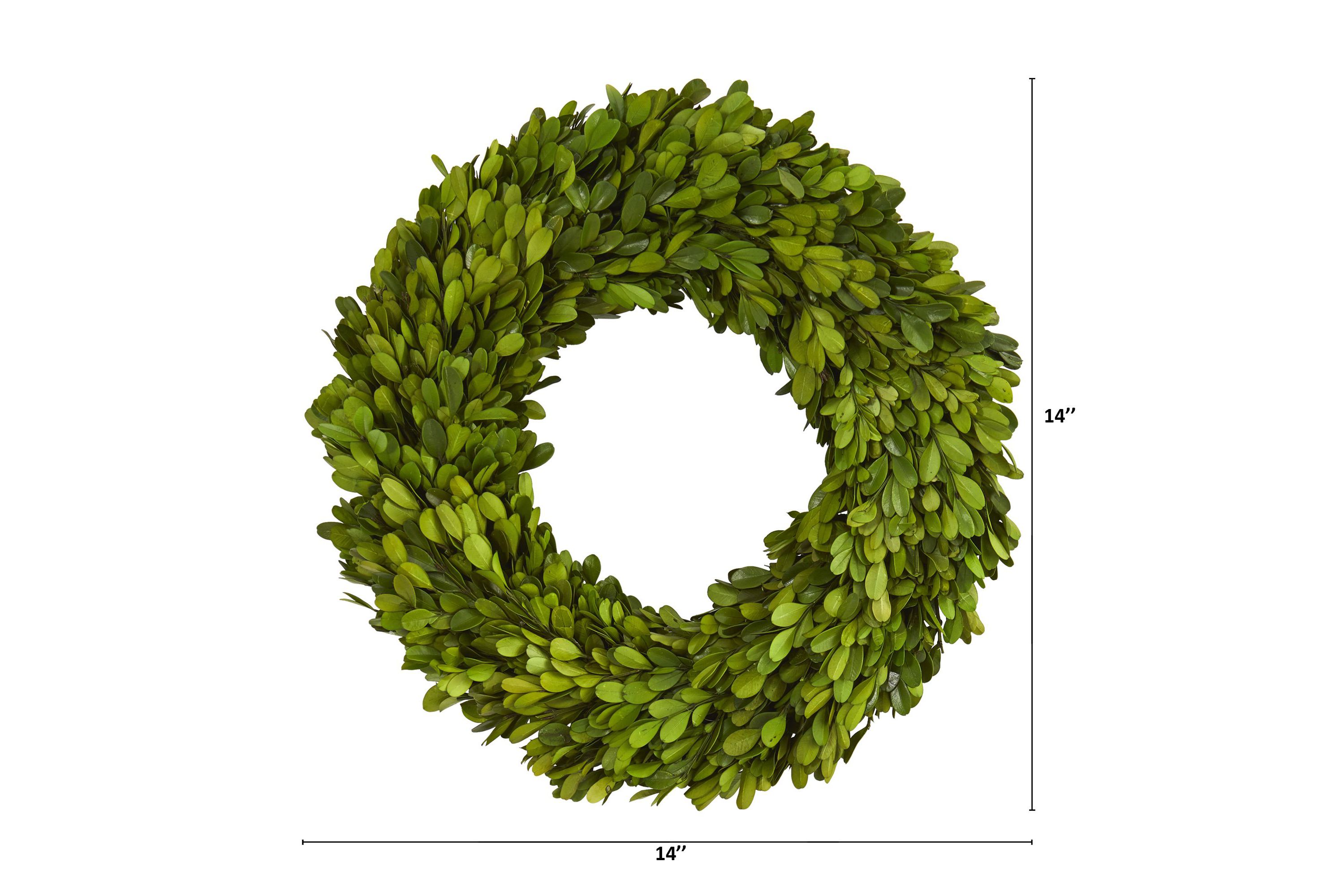 14-Inch Preserved Boxwood Wreath