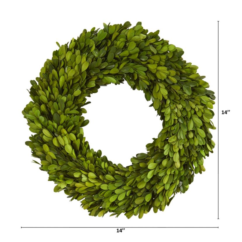 14-Inch Preserved Boxwood Wreath