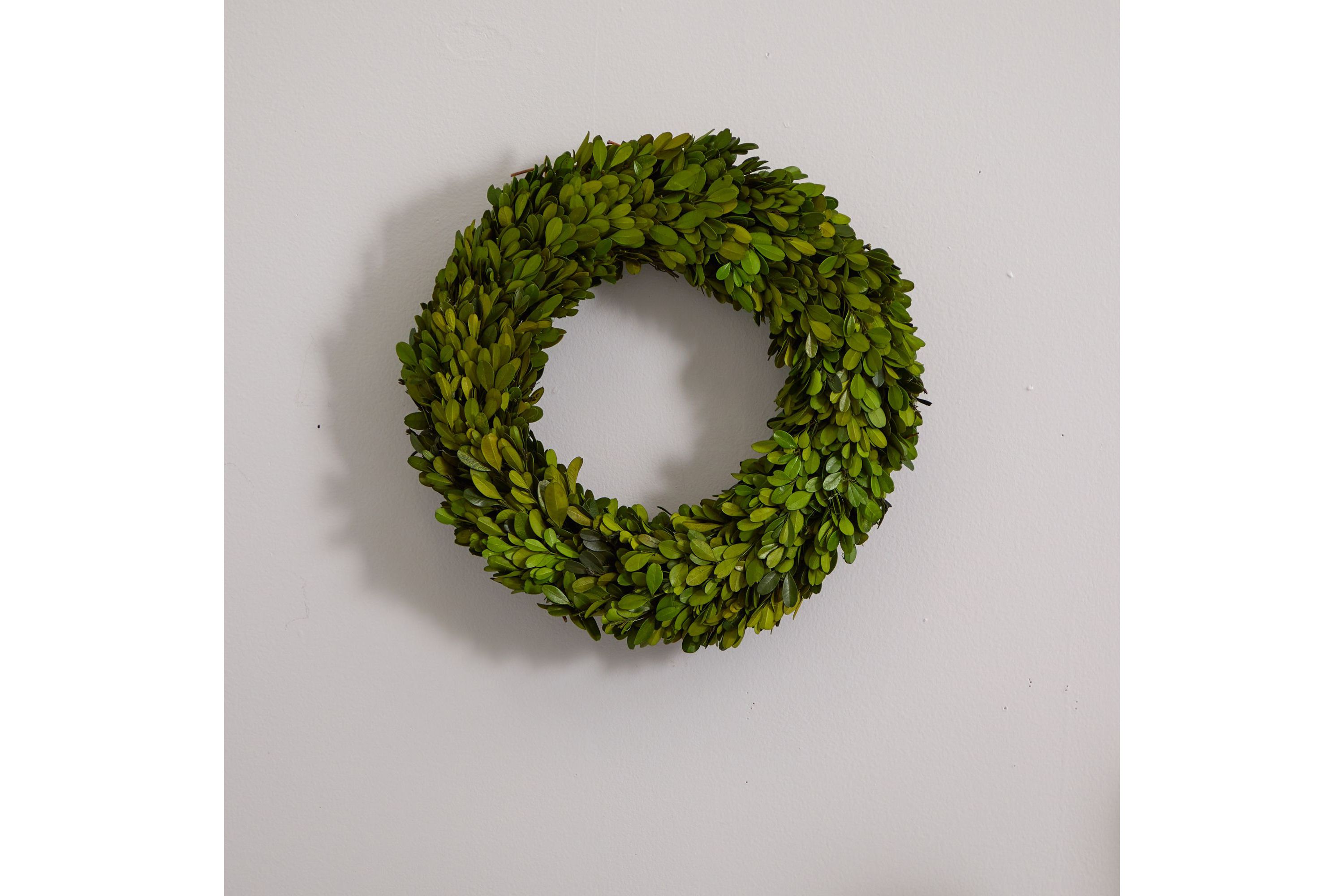 14-Inch Preserved Boxwood Wreath