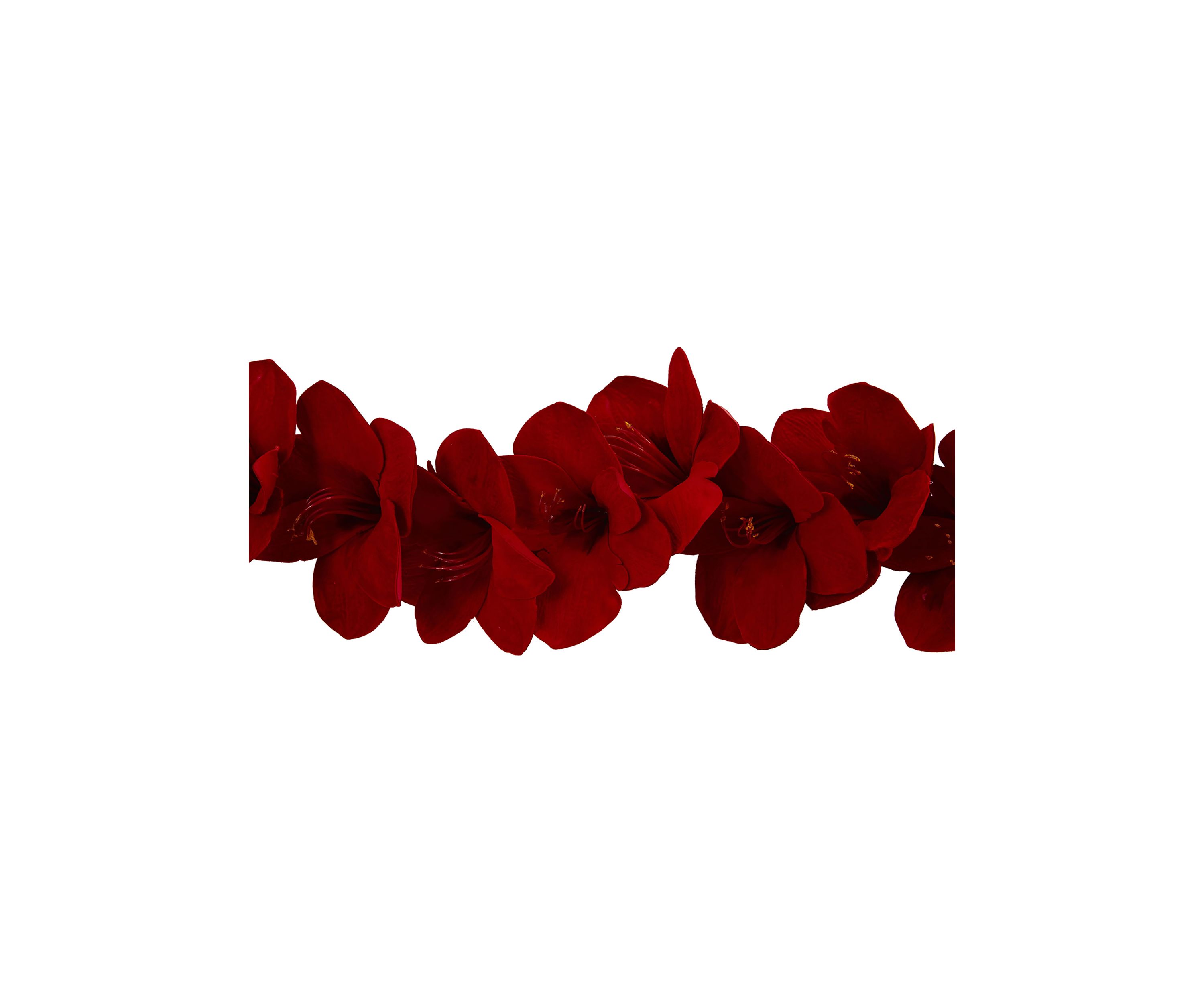 5 Foot Amaryllis Silk Garland