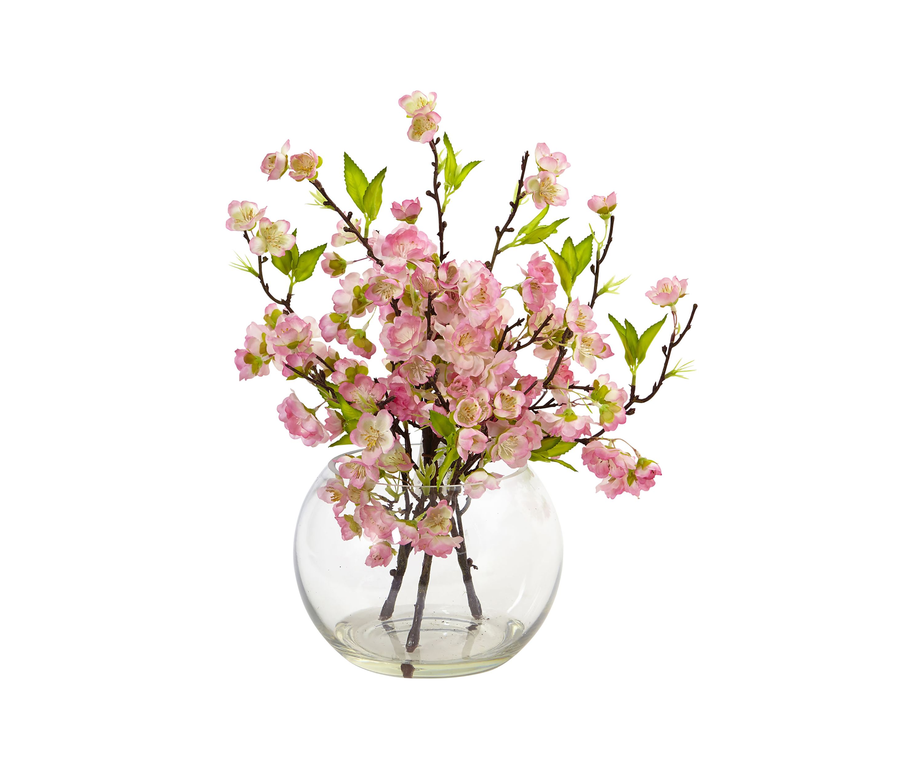 Cherry Blossom in Large Vase