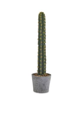 Cactus in Stone Planter Artificial Plant
