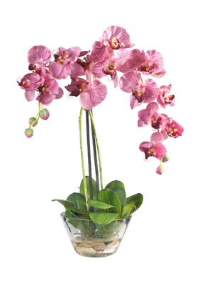 Phalaenopsis with Glass Vase Silk Flower Arrangement