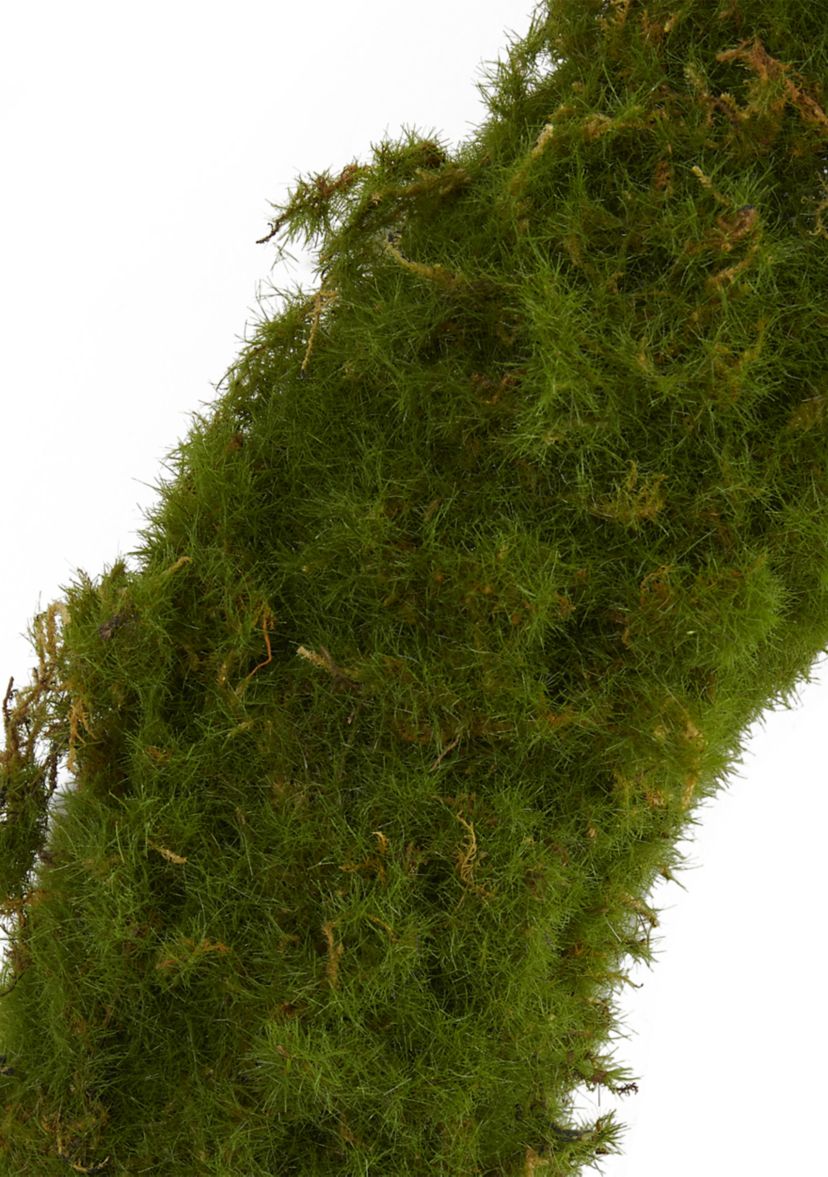 Moss Wreath
