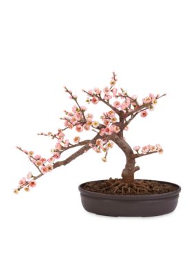 Cherry Blossom Bonsai Silk Tree
