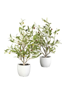 Nearly Natural Olive Silk Tree with Vase - Set of 2, Green