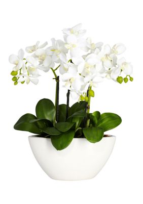 Phalaenopsis Silk Flower Arrangement