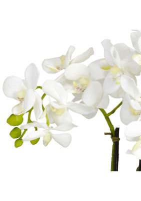 Phalaenopsis Silk Flower Arrangement