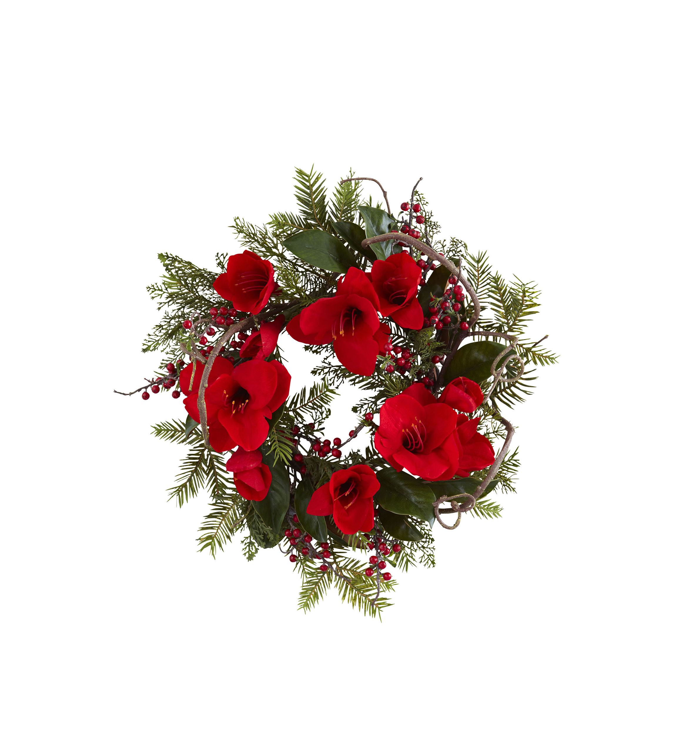 24 in Amaryllis Wreath