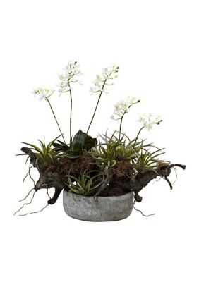 Nearly Natural Orchid, Succulent Garden with Driftwood with Decorative Vase
