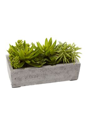 Nearly Natural Succulent Garden with Concrete Planter, Green
