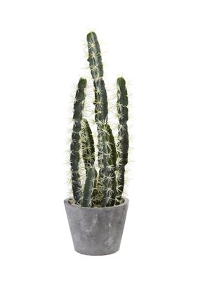 Nearly Natural Decorative Cactus Garden with Cement Planter, Green